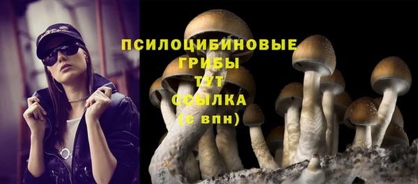 стаф Балабаново