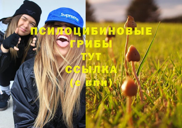 стаф Балабаново