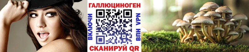 Псилоцибиновые грибы прущие грибы  Жигулёвск 